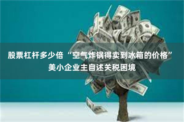 股票杠杆多少倍 “空气炸锅得卖到冰箱的价格” 美小企业主自述关税困境