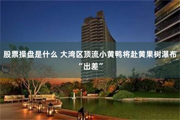 股票操盘是什么 大湾区顶流小黄鸭将赴黄果树瀑布“出差”