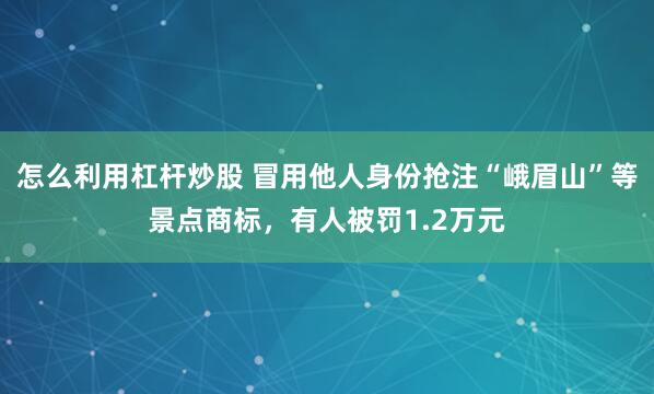 怎么利用杠杆炒股 冒用他人身份抢注“峨眉山”等景点商标，有人被罚1.2万元
