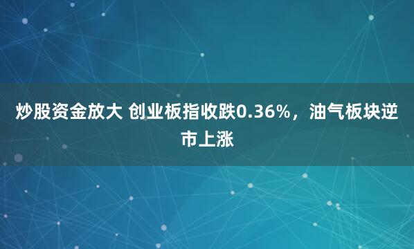 炒股资金放大 创业板指收跌0.36%，油气板块逆市上涨