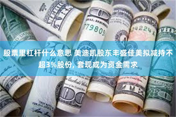 股票里杠杆什么意思 美迪凯股东丰盛佳美拟减持不超3%股份, 套现或为资金需求