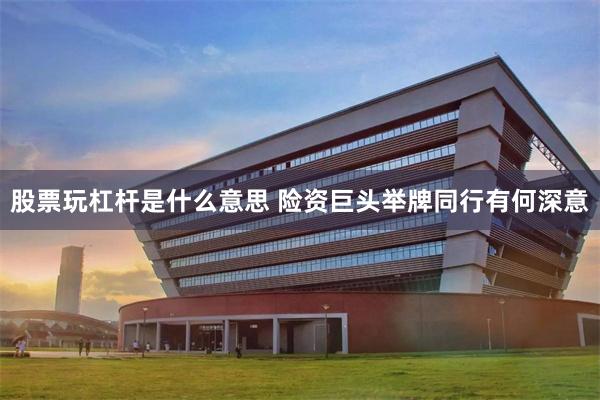 股票玩杠杆是什么意思 险资巨头举牌同行有何深意