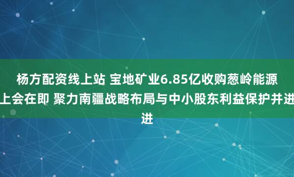 杨方配资线上站 宝地矿业6.85亿收购葱岭能源上会在即 聚力南疆战略布局与中小股东利益保护并进